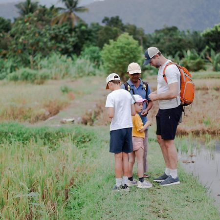 Ambow Homestay Jungle Trekking & Village Tour Bukit Lawang Luaran gambar