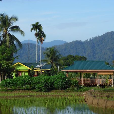 Ambow Homestay Jungle Trekking & Village Tour Bukit Lawang Luaran gambar