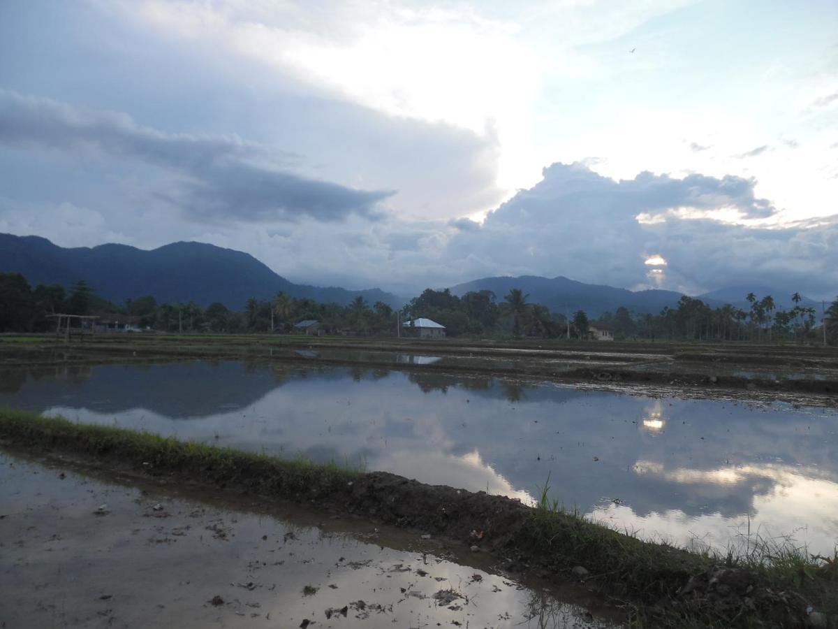 Ambow Homestay Jungle Trekking & Village Tour Bukit Lawang Luaran gambar