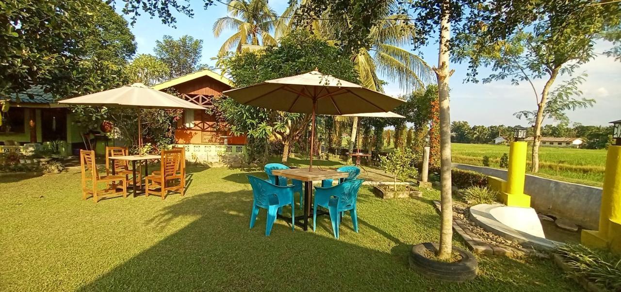 Ambow Homestay Jungle Trekking & Village Tour Bukit Lawang Luaran gambar