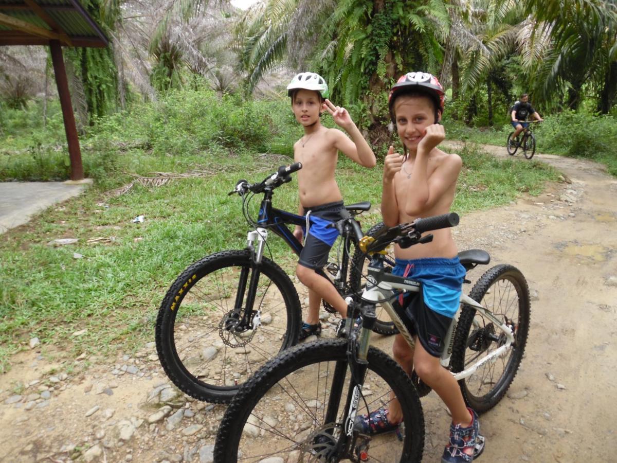 Ambow Homestay Jungle Trekking & Village Tour Bukit Lawang Luaran gambar