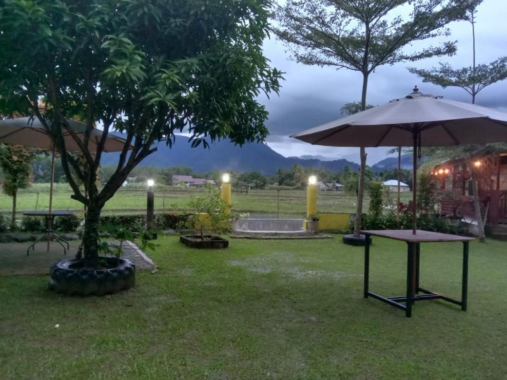 Ambow Homestay Jungle Trekking & Village Tour Bukit Lawang Luaran gambar