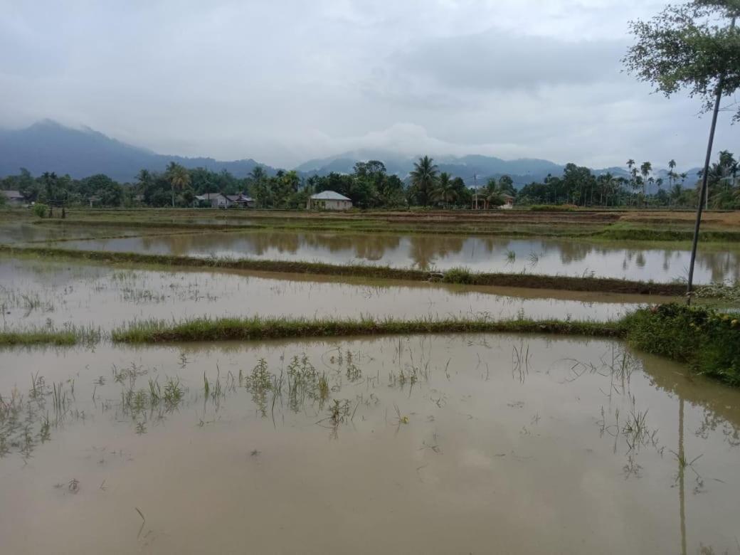 Ambow Homestay Jungle Trekking & Village Tour Bukit Lawang Luaran gambar