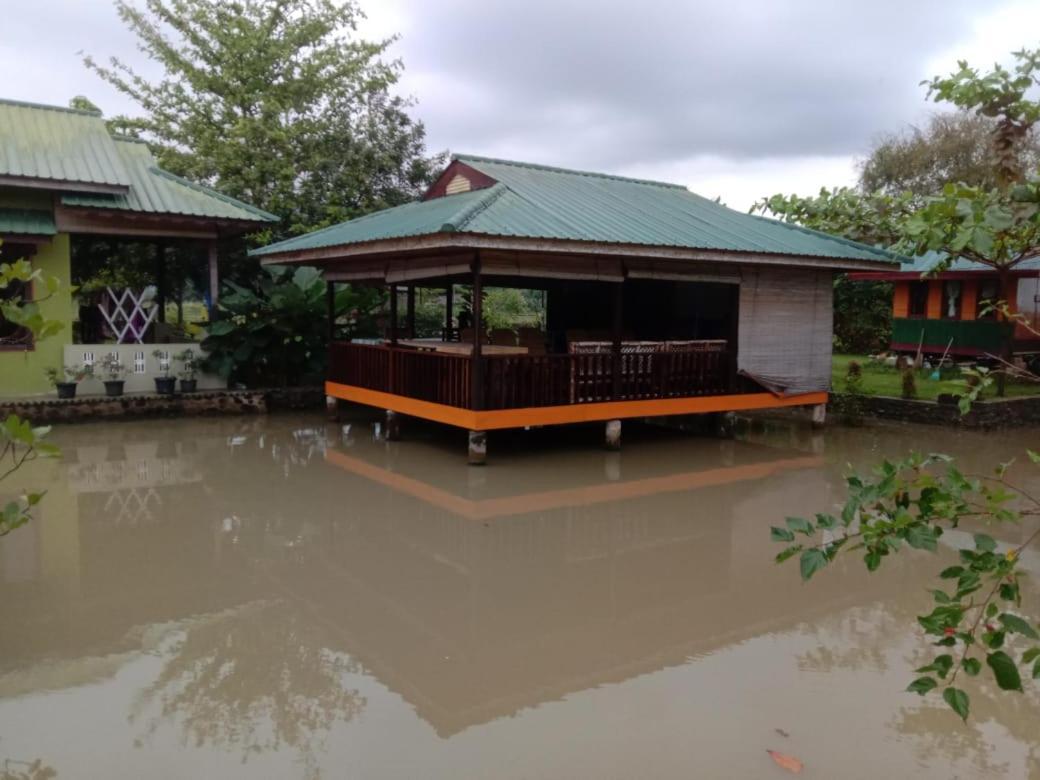 Ambow Homestay Jungle Trekking & Village Tour Bukit Lawang Luaran gambar