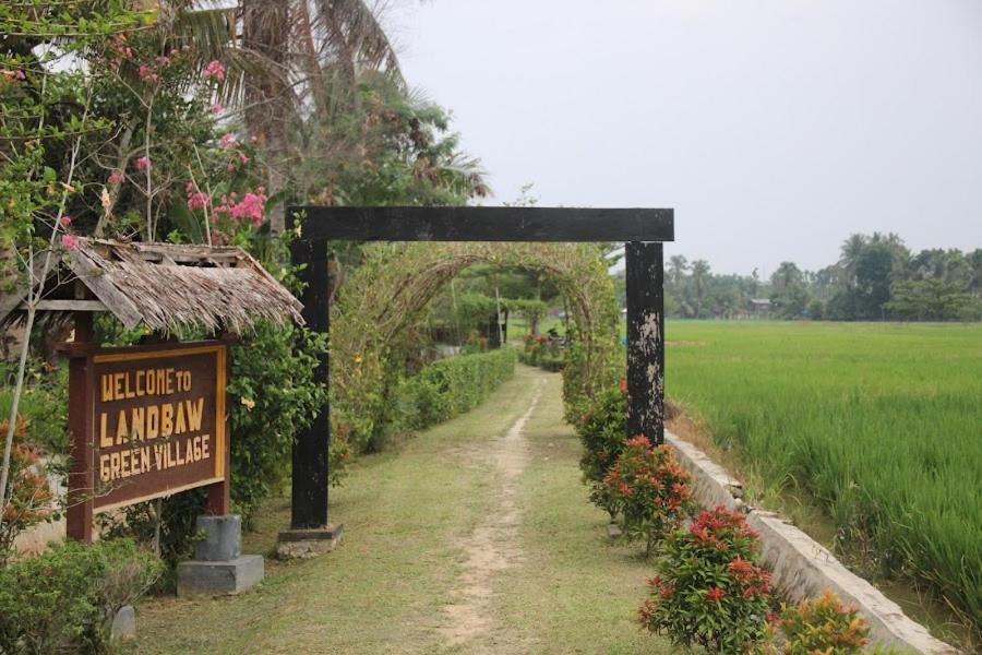 Ambow Homestay Jungle Trekking & Village Tour Bukit Lawang Luaran gambar