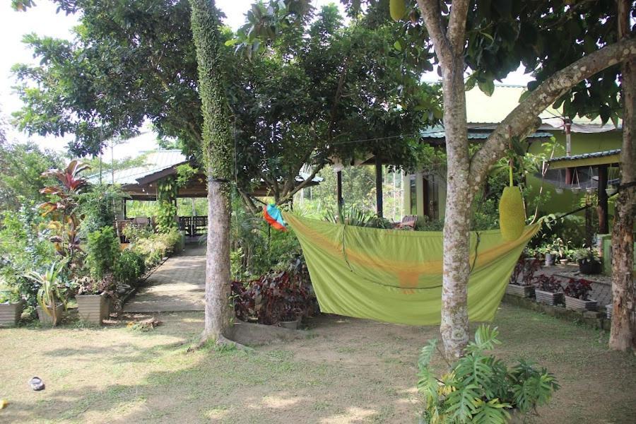 Ambow Homestay Jungle Trekking & Village Tour Bukit Lawang Luaran gambar