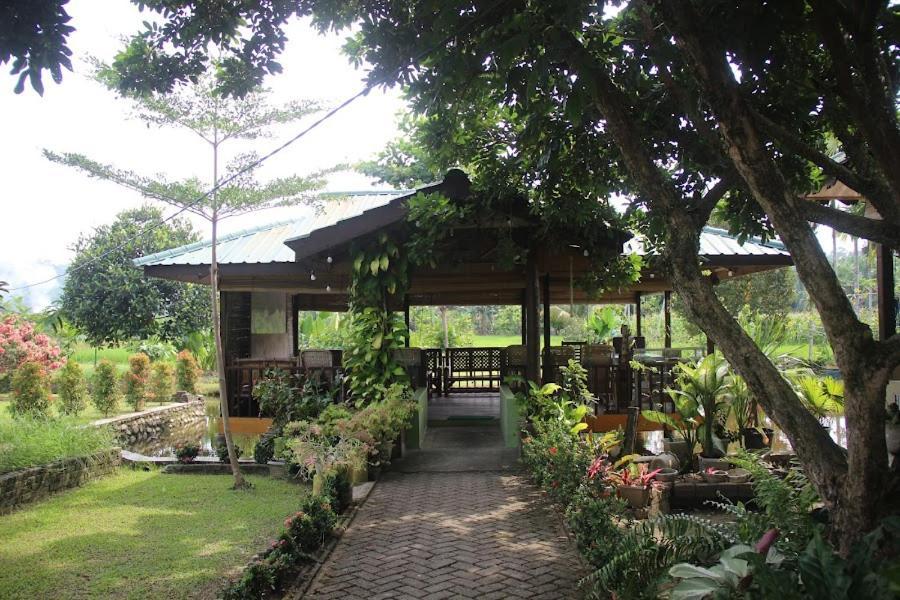 Ambow Homestay Jungle Trekking & Village Tour Bukit Lawang Luaran gambar