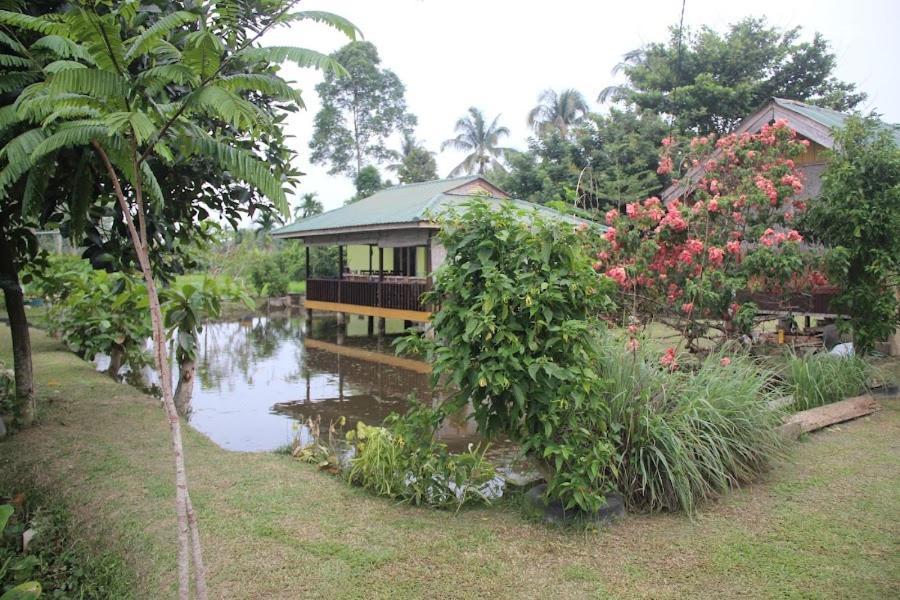 Ambow Homestay Jungle Trekking & Village Tour Bukit Lawang Luaran gambar