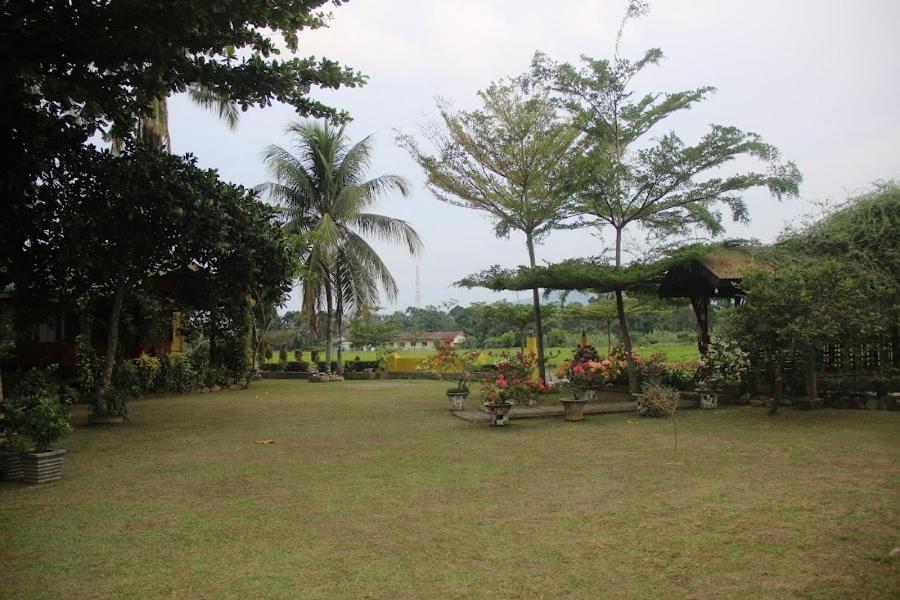 Ambow Homestay Jungle Trekking & Village Tour Bukit Lawang Luaran gambar