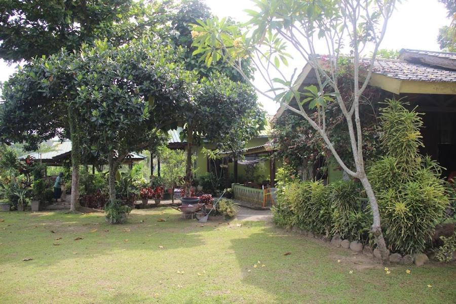 Ambow Homestay Jungle Trekking & Village Tour Bukit Lawang Luaran gambar