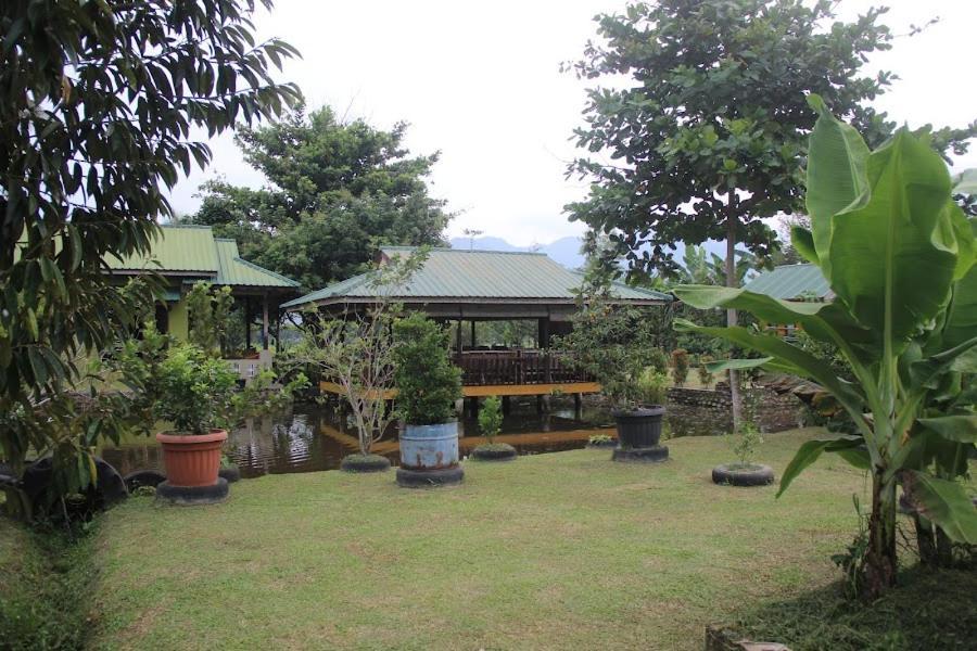 Ambow Homestay Jungle Trekking & Village Tour Bukit Lawang Luaran gambar