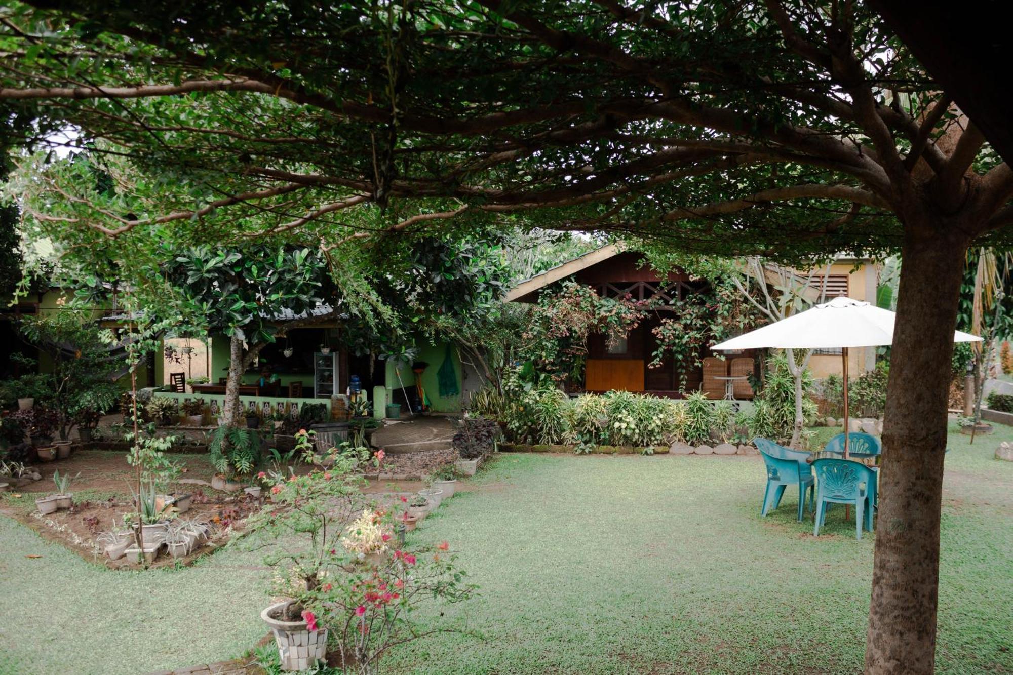 Ambow Homestay Jungle Trekking & Village Tour Bukit Lawang Luaran gambar