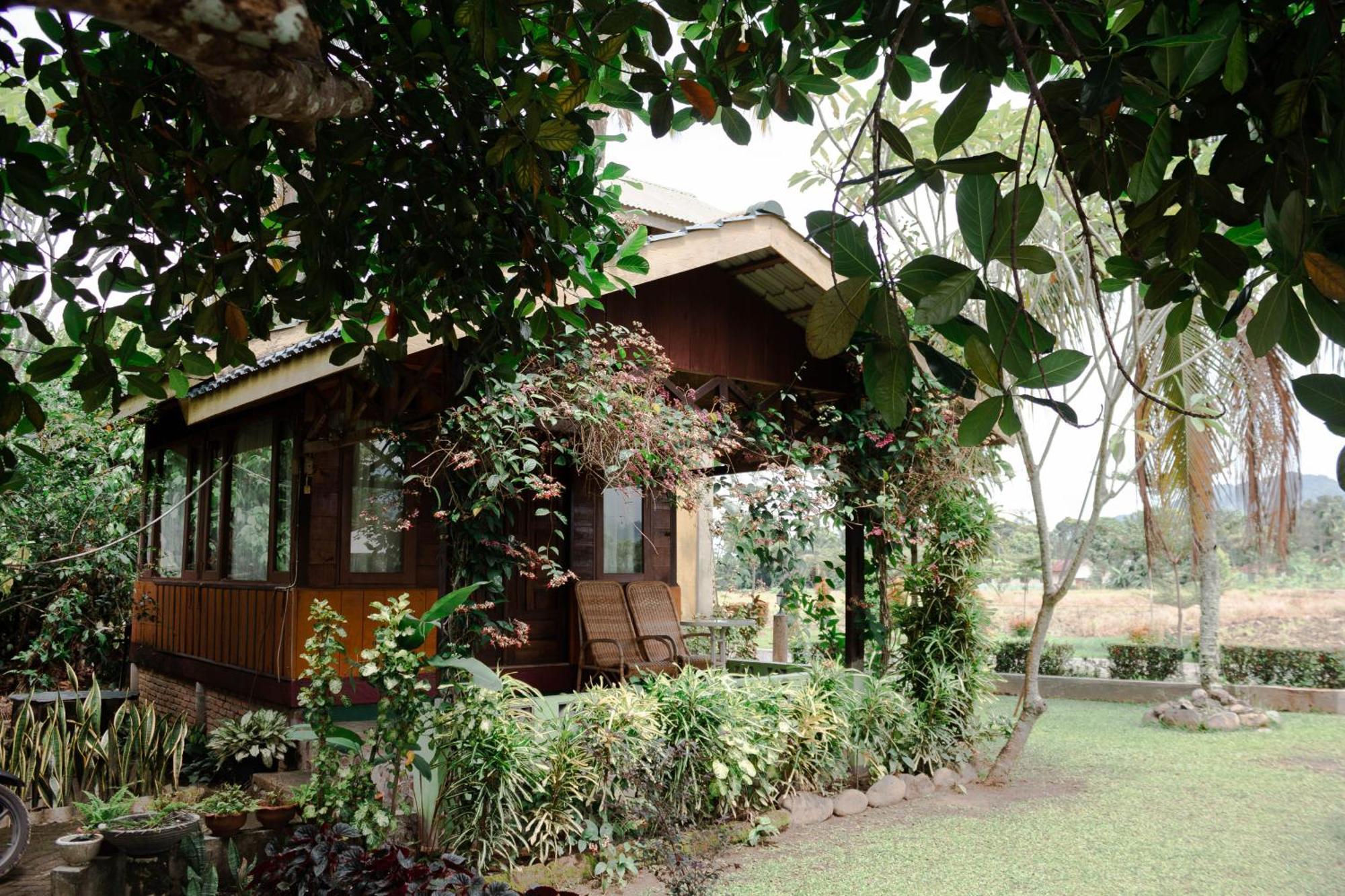 Ambow Homestay Jungle Trekking & Village Tour Bukit Lawang Luaran gambar