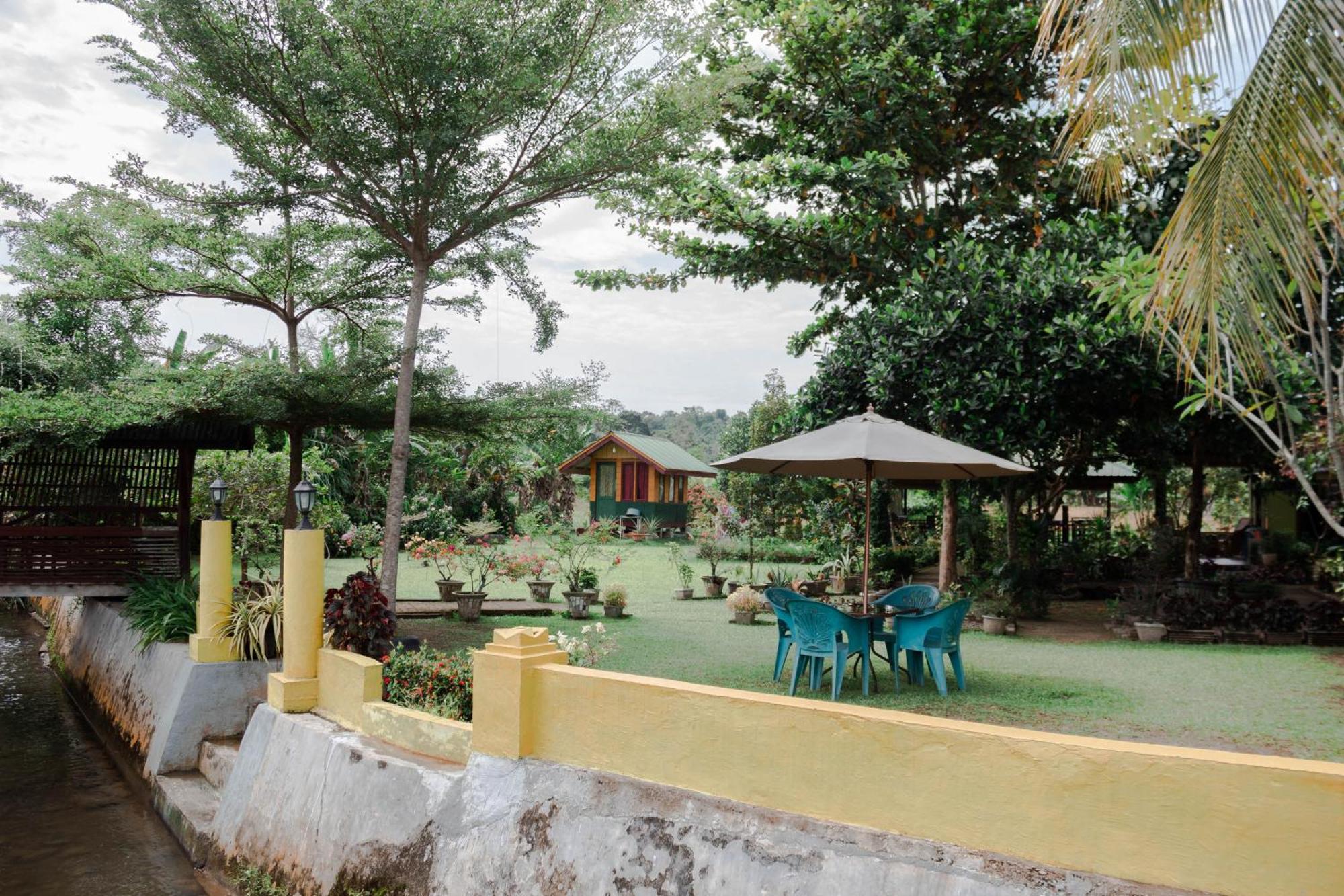 Ambow Homestay Jungle Trekking & Village Tour Bukit Lawang Luaran gambar