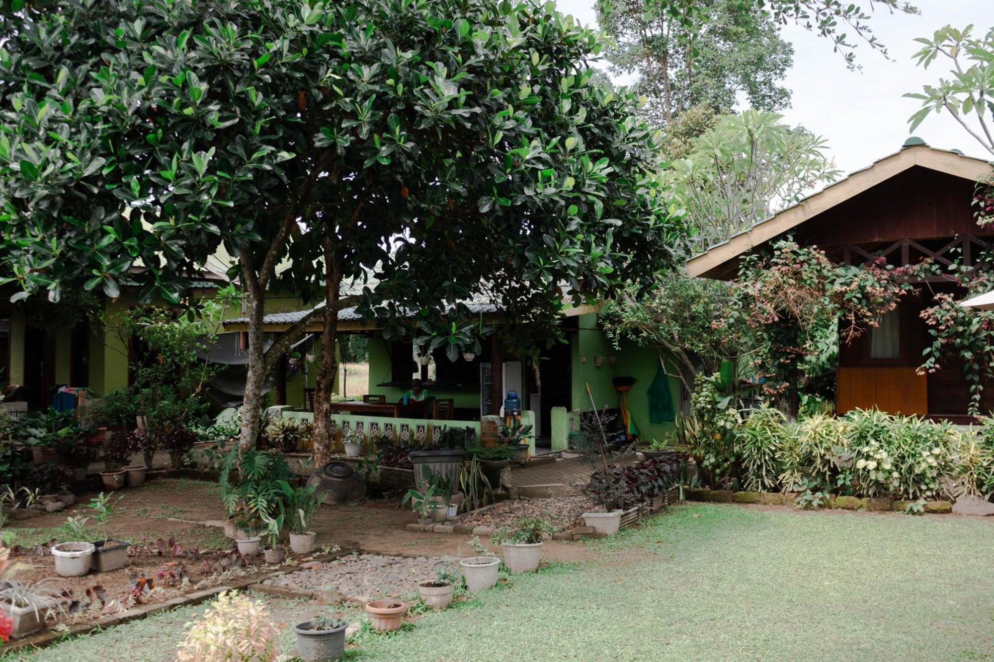 Ambow Homestay Jungle Trekking & Village Tour Bukit Lawang Luaran gambar