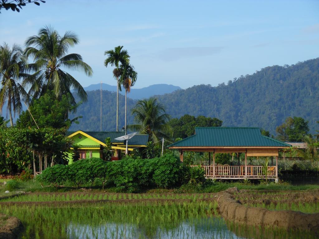 Ambow Homestay Jungle Trekking & Village Tour Bukit Lawang Luaran gambar