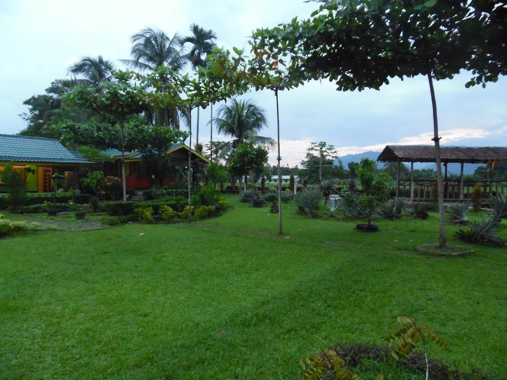 Ambow Homestay Jungle Trekking & Village Tour Bukit Lawang Luaran gambar