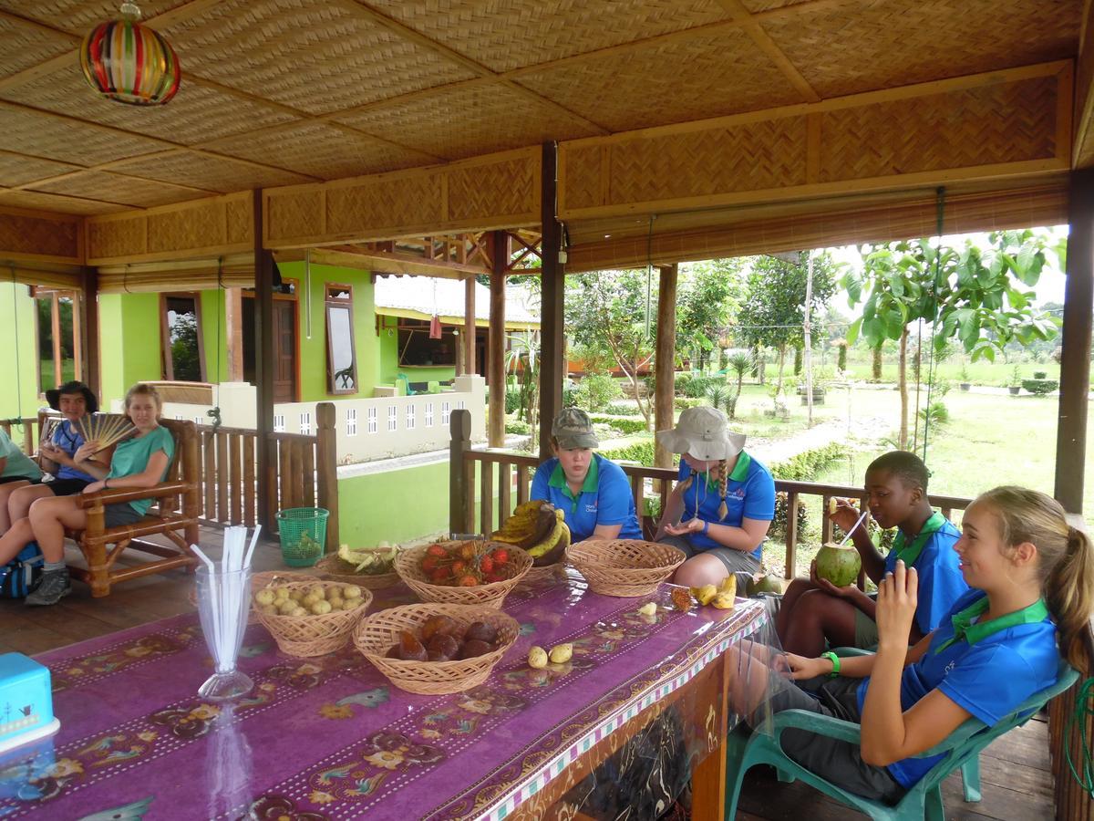 Ambow Homestay Jungle Trekking & Village Tour Bukit Lawang Luaran gambar