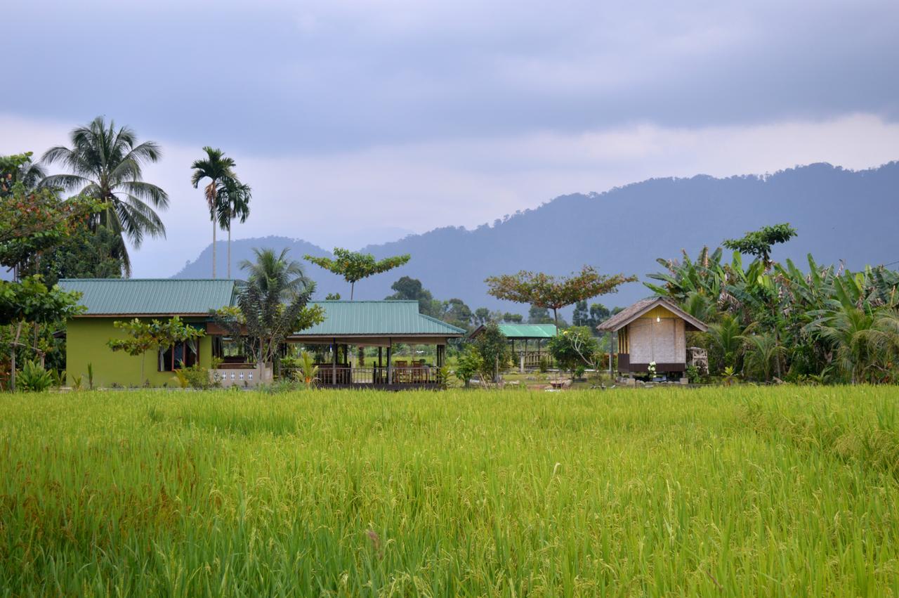 Ambow Homestay Jungle Trekking & Village Tour Bukit Lawang Luaran gambar