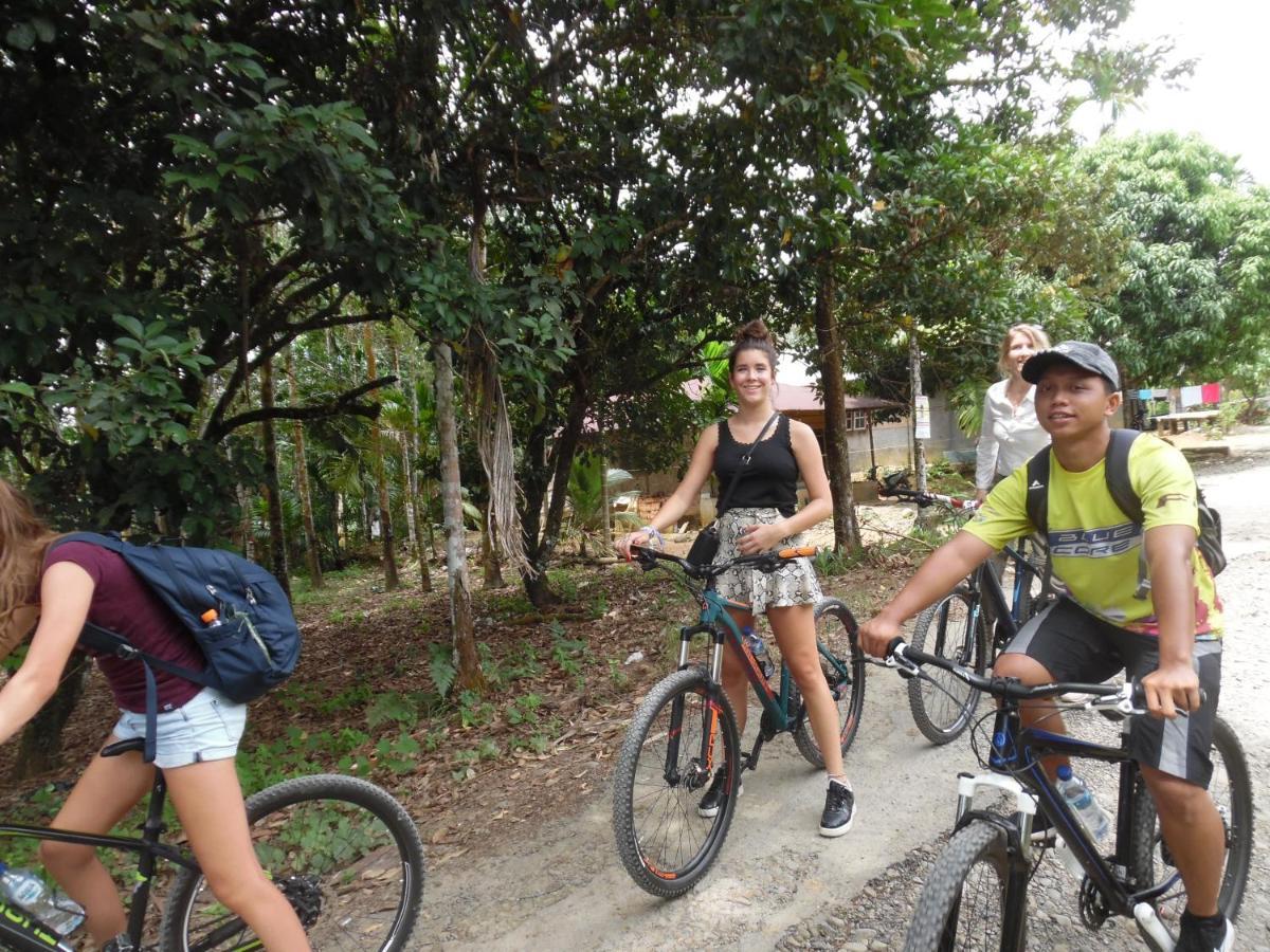 Ambow Homestay Jungle Trekking & Village Tour Bukit Lawang Luaran gambar