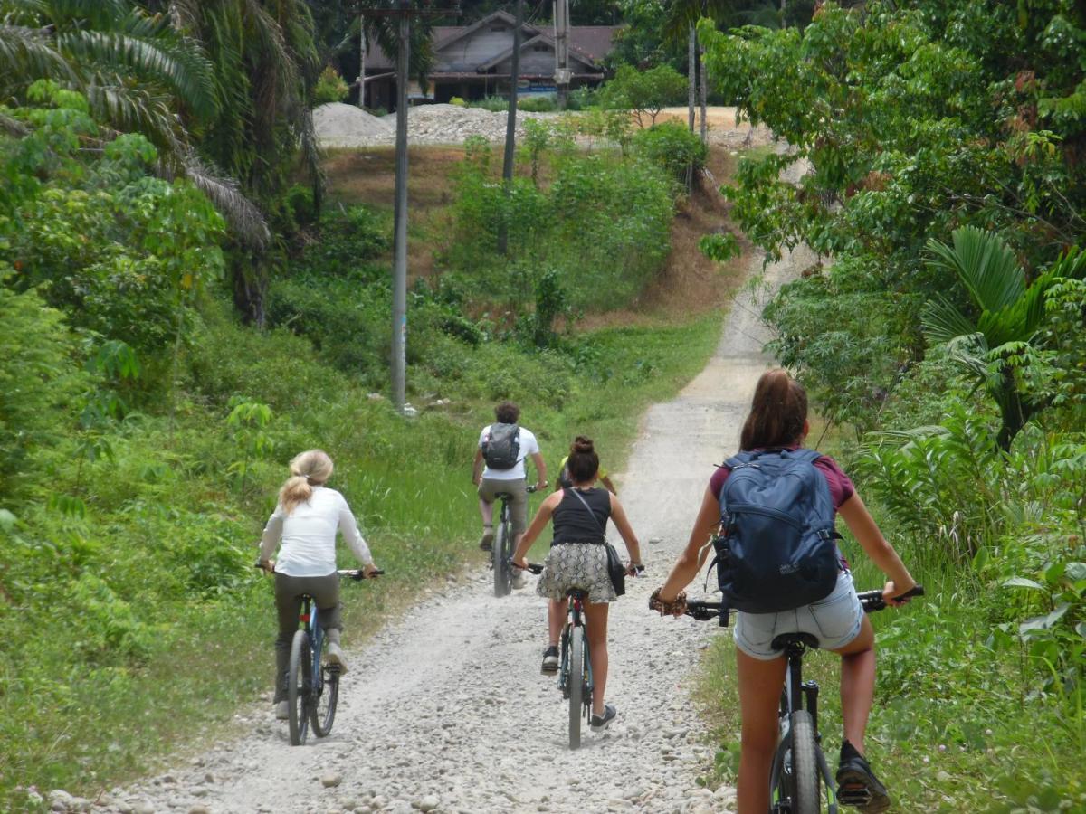 Ambow Homestay Jungle Trekking & Village Tour Bukit Lawang Luaran gambar