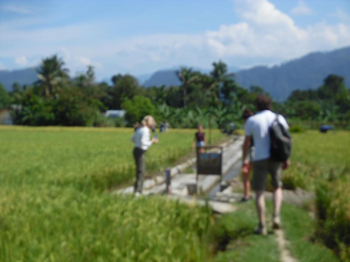 Ambow Homestay Jungle Trekking & Village Tour Bukit Lawang Luaran gambar
