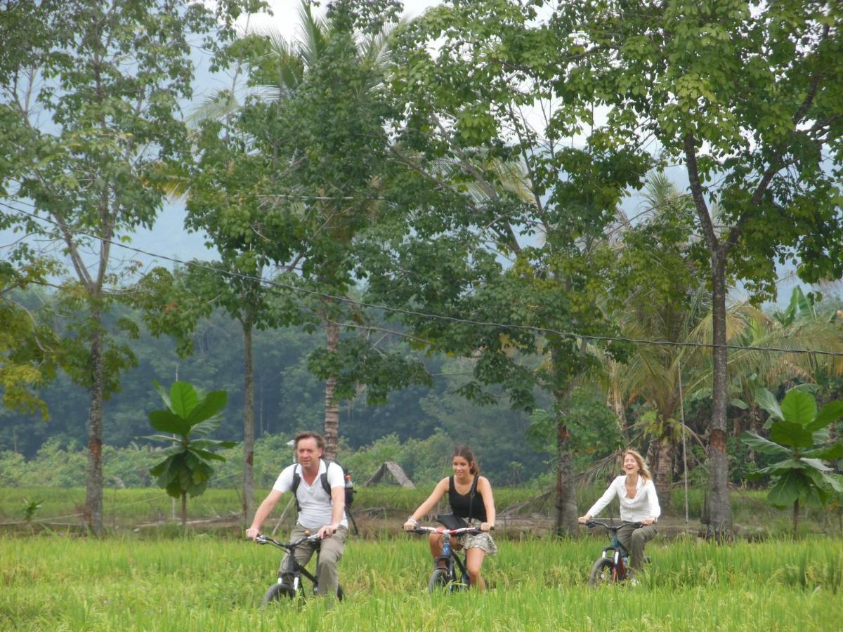 Ambow Homestay Jungle Trekking & Village Tour Bukit Lawang Luaran gambar