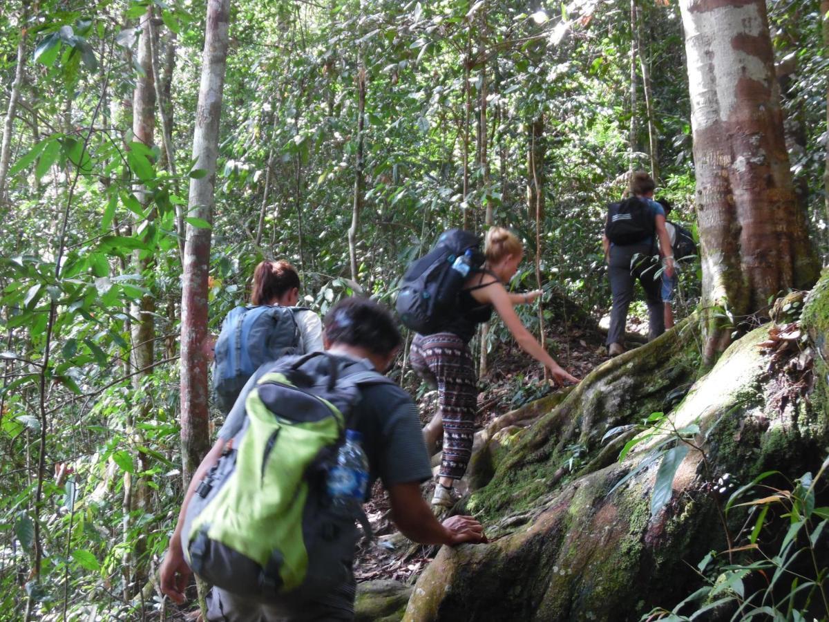 Ambow Homestay Jungle Trekking & Village Tour Bukit Lawang Luaran gambar