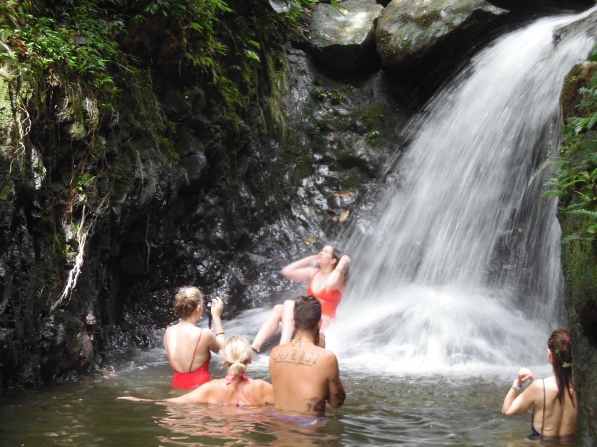 Ambow Homestay Jungle Trekking & Village Tour Bukit Lawang Luaran gambar
