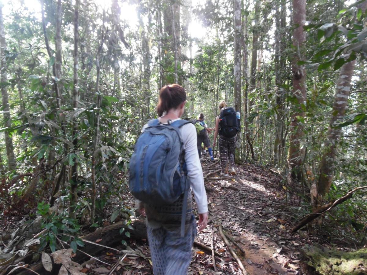 Ambow Homestay Jungle Trekking & Village Tour Bukit Lawang Luaran gambar
