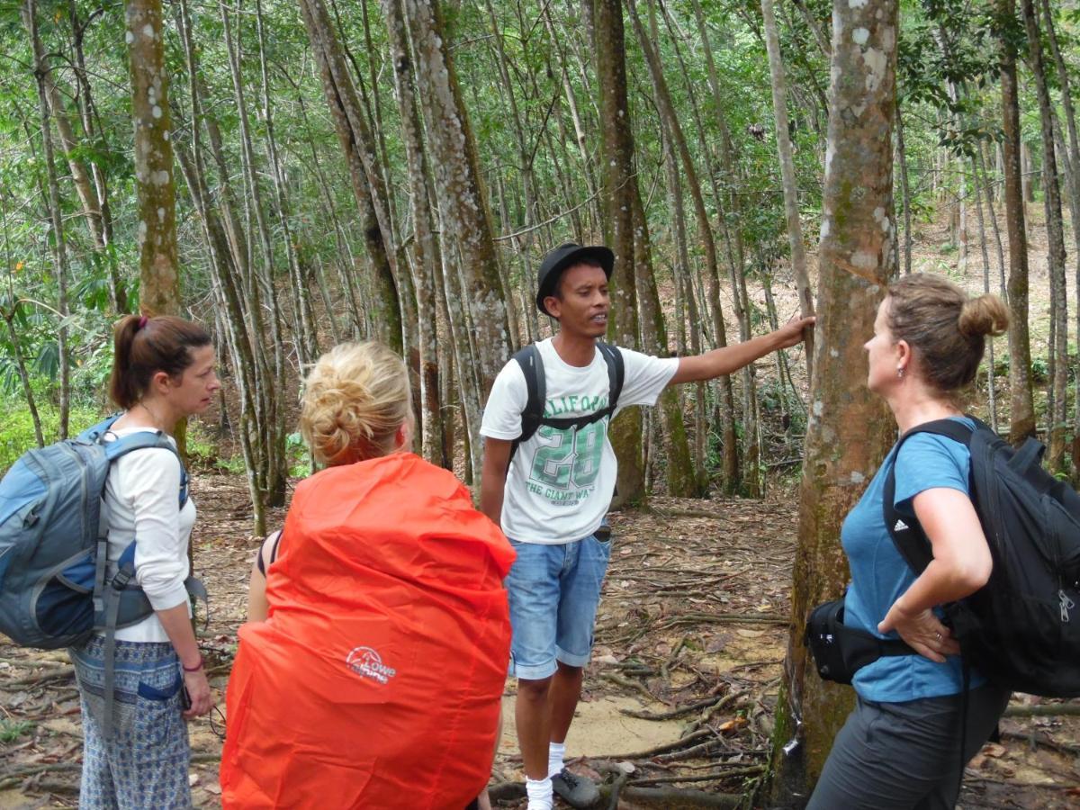 Ambow Homestay Jungle Trekking & Village Tour Bukit Lawang Luaran gambar