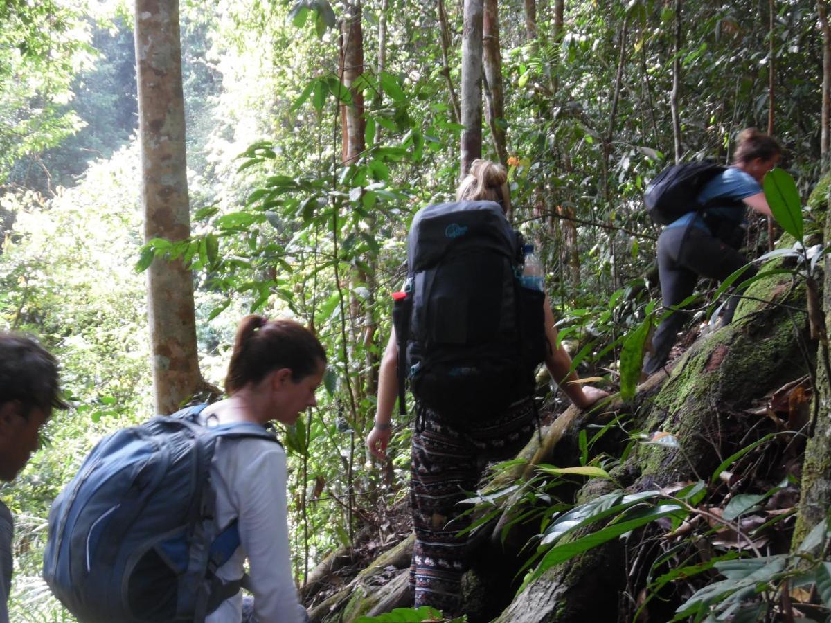 Ambow Homestay Jungle Trekking & Village Tour Bukit Lawang Luaran gambar