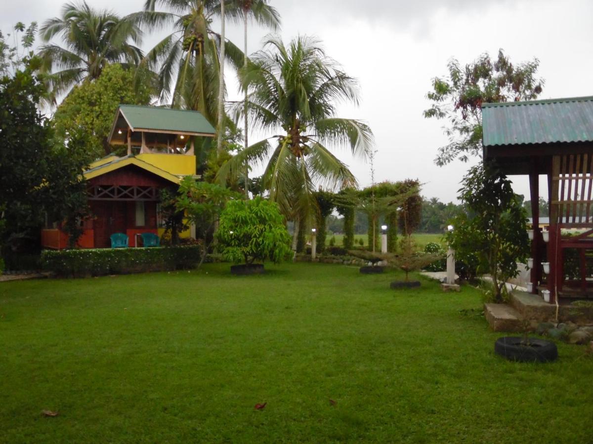 Ambow Homestay Jungle Trekking & Village Tour Bukit Lawang Luaran gambar