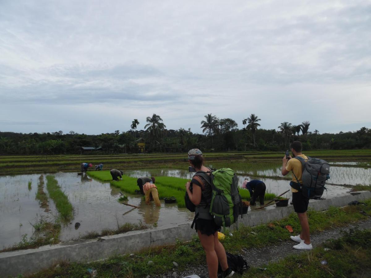 Ambow Homestay Jungle Trekking & Village Tour Bukit Lawang Luaran gambar